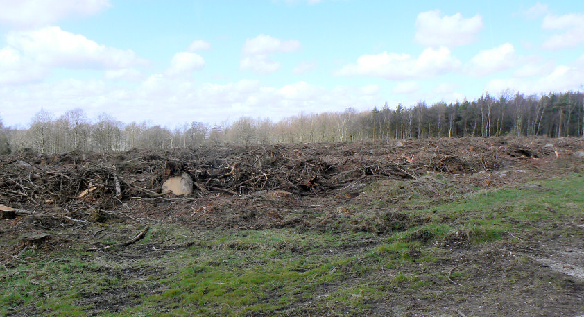 Stand Wood Stand Wood